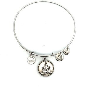 Alex and Ani RS Disney World Bracelet